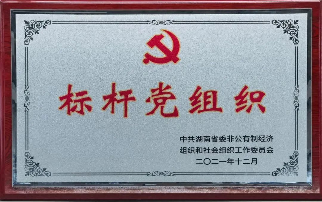党建品牌亮起来！beat365官网党委获评“标杆党组织”