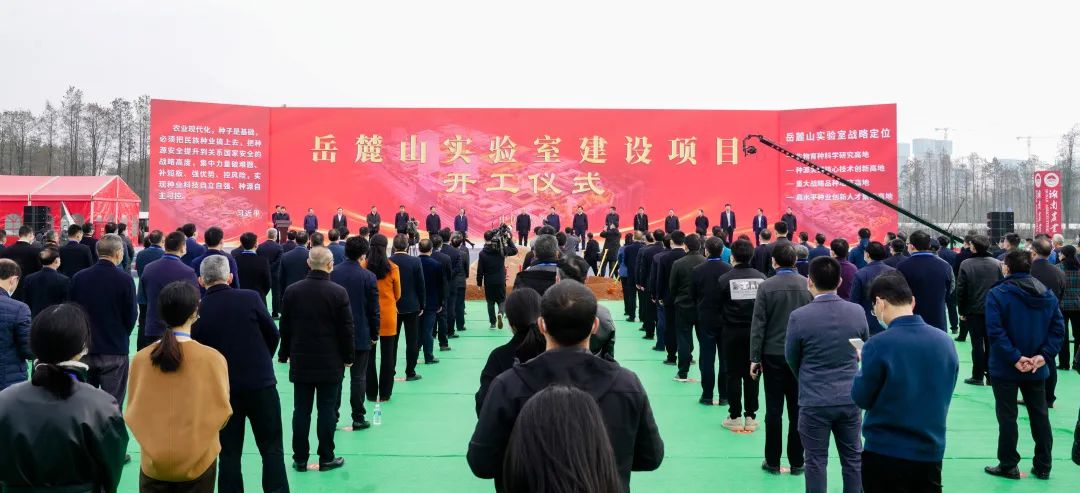 beat365官网亮相岳麓山实验室建设项目开工仪式